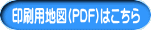 pn}(PDF)͂